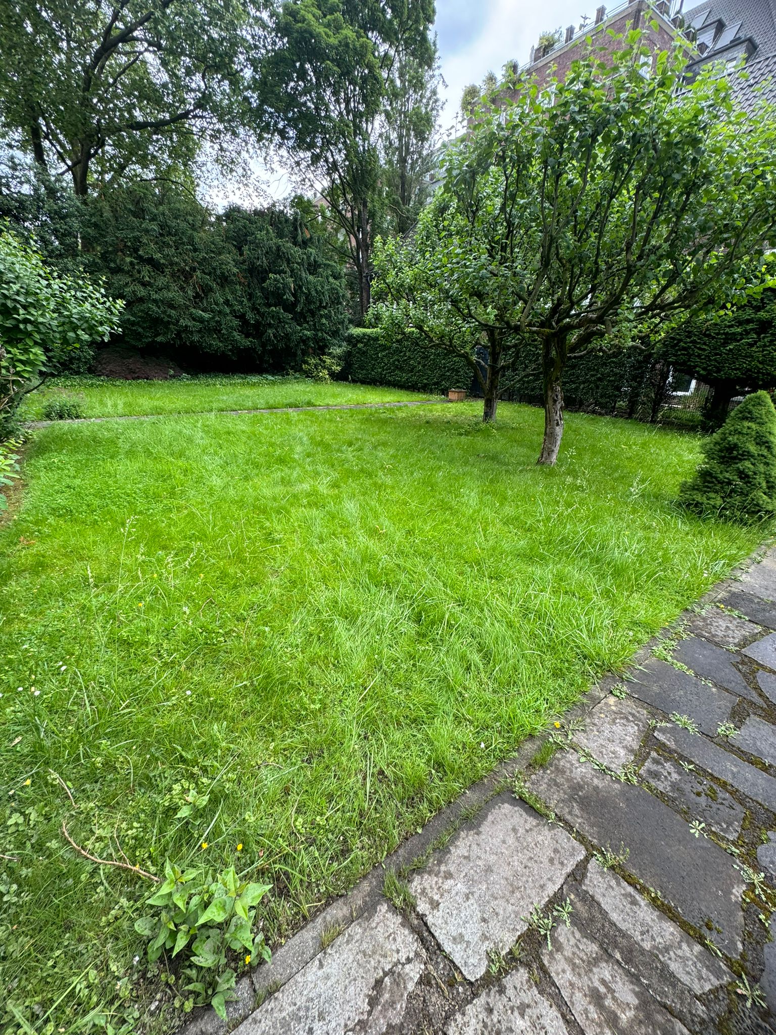 Gartengestaltung 2